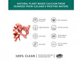 Together Health Plant Based Calcium from Seaweed 60 Vegan Capsules calcium nutrient product information panel
