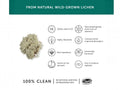 Together Health Vegan Vitamin D3 1000 IU from Lichen 30 Capsules vitamin D3 nutrient product information panel