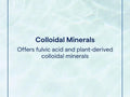 Trace Minerals Colloidal Minerals Unflavoured - 887ml trace mineral replenishment benefits graphic