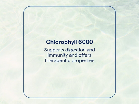 Trace Minerals Ionic Chlorophyll 6000 – Liquid Supplement 59 ml (2 fl oz) detox and cellular health benefits graphic