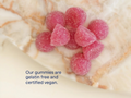 ace Minerals Zinc Gummies Elderberry - 60 Count quality badges vegan gluten free gummy supplement