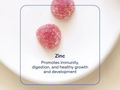 Trace Minerals Zinc Gummies Elderberry - 60 Count immune support and trace mineral benefits graphic