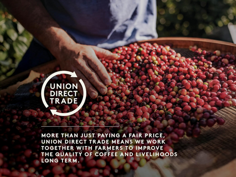 Union Revelation Espresso Blend Whole Bean Coffee
