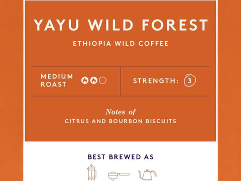 Union Yayu Wild Forest Ethiopian Whole Bean Coffee - 200g