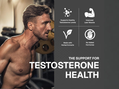 WEIDER PRIME Powered  – Testosterone Support