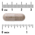 Swanson Grape Seed Green Tea Pine Bark herbal supplement capsule bottle 60 capsule size