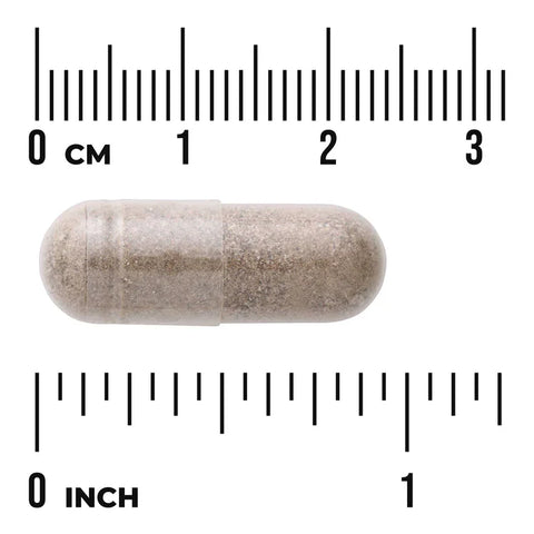 Swanson Grape Seed Green Tea Pine Bark herbal supplement capsule bottle 60 capsule size