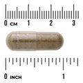 Swanson Full Spectrum Damiana 510mg 100 Capsules bottle 60 capsule size