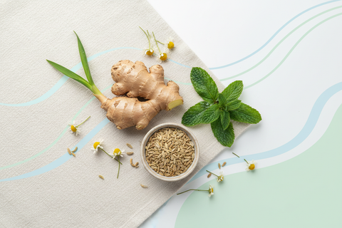 Bloating & digestive comfort