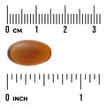 Swanson Saw Palmetto Maximum Strength 320mg 60 Softgels Pack of 2 size comparison with measurement scale