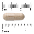 Swanson Full Spectrum Milk Thistle supplement vegan capsule size