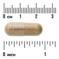 Swanson Full Spectrum Oat Straw 400mg 60 Capsules size