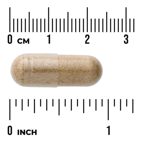 Swanson Full Spectrum Oat Straw 400mg 60 Capsules size