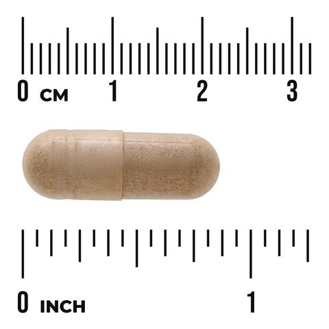 Swanson Full Spectrum Catuaba Bark 465mg 60 Vegan Capsules size comparison with measurement scale