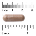 Swanson Full Spectrum Saw Palmetto 540mg 100 Vegan Capsules size comparison with measurement scale