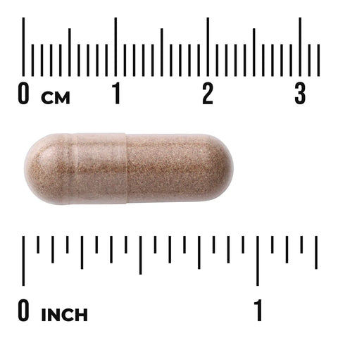 Swanson Full Spectrum Saw Palmetto 540mg 100 Vegan Capsules size comparison with measurement scale