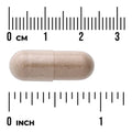 Swanson Full Spectrum Butea Superba Root 400mg 60 Capsules herbal supplement capsule bottle 60 capsule size