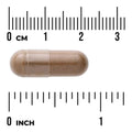 Swanson Full Spectrum Burdock Root 460mg 100 Capsules Pack of 2 herbal supplement capsule bottle 60 capsule size