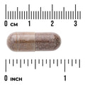 Swanson Shatavari Root Extract 500mg 120 Capsules herbal supplement capsule bottle 60 capsule size